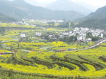 江岭