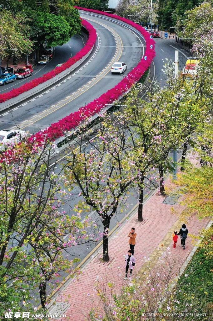 道路