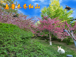 环境