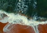 海