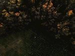 山林