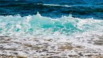 海