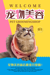 宠物美容