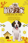 萌宠之家