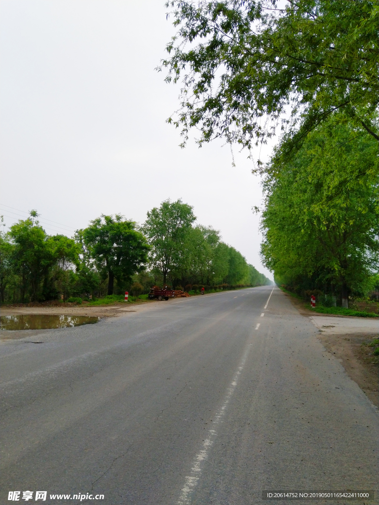 乡村公路风景