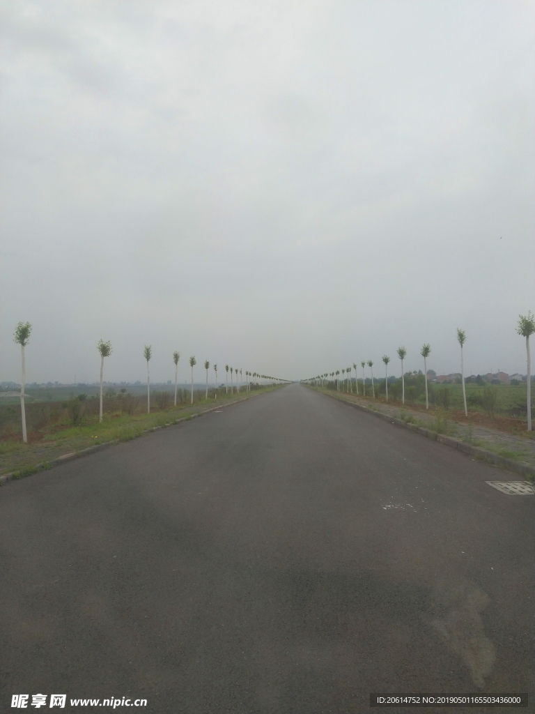 雨天下的道路风景