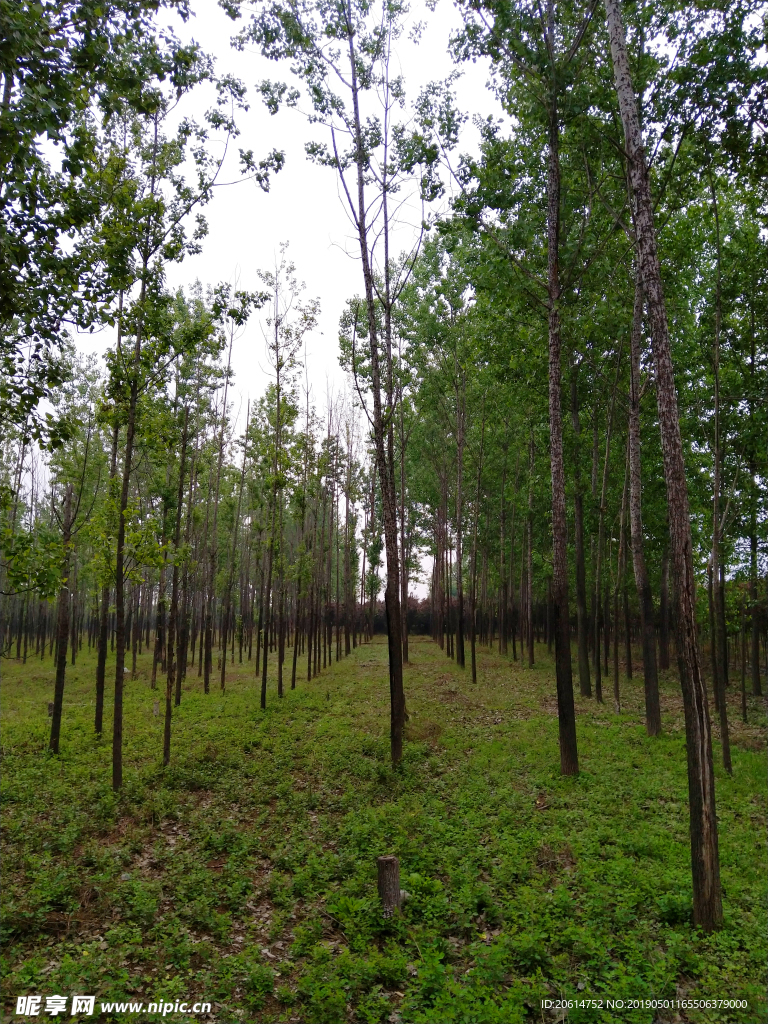 美丽的乡村风景