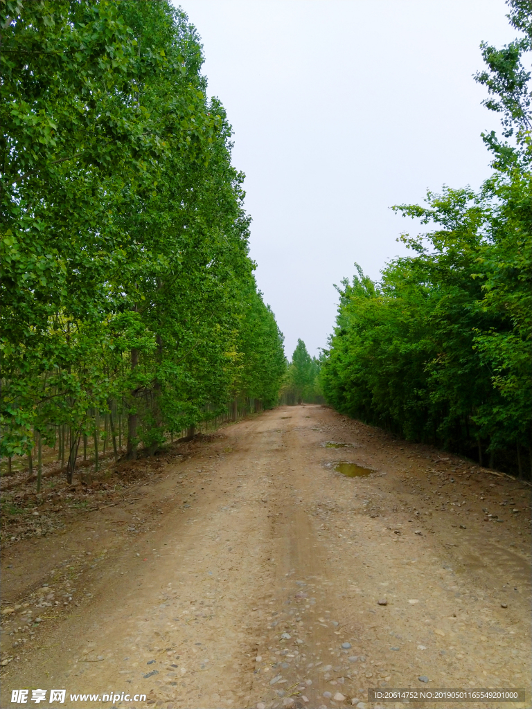 美丽的乡村风景