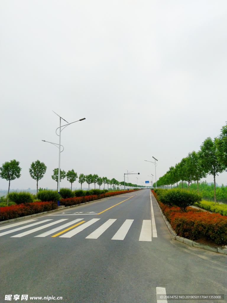 乡村道路美景