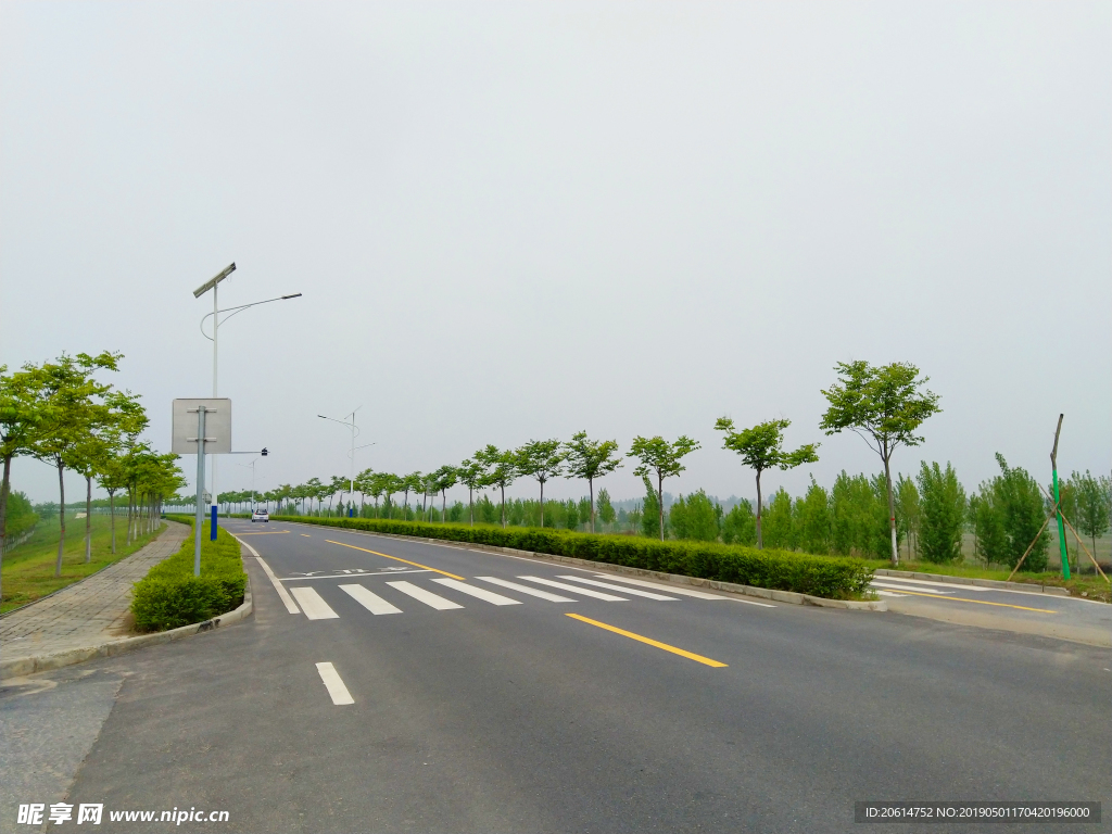 绿树成荫的道路美景