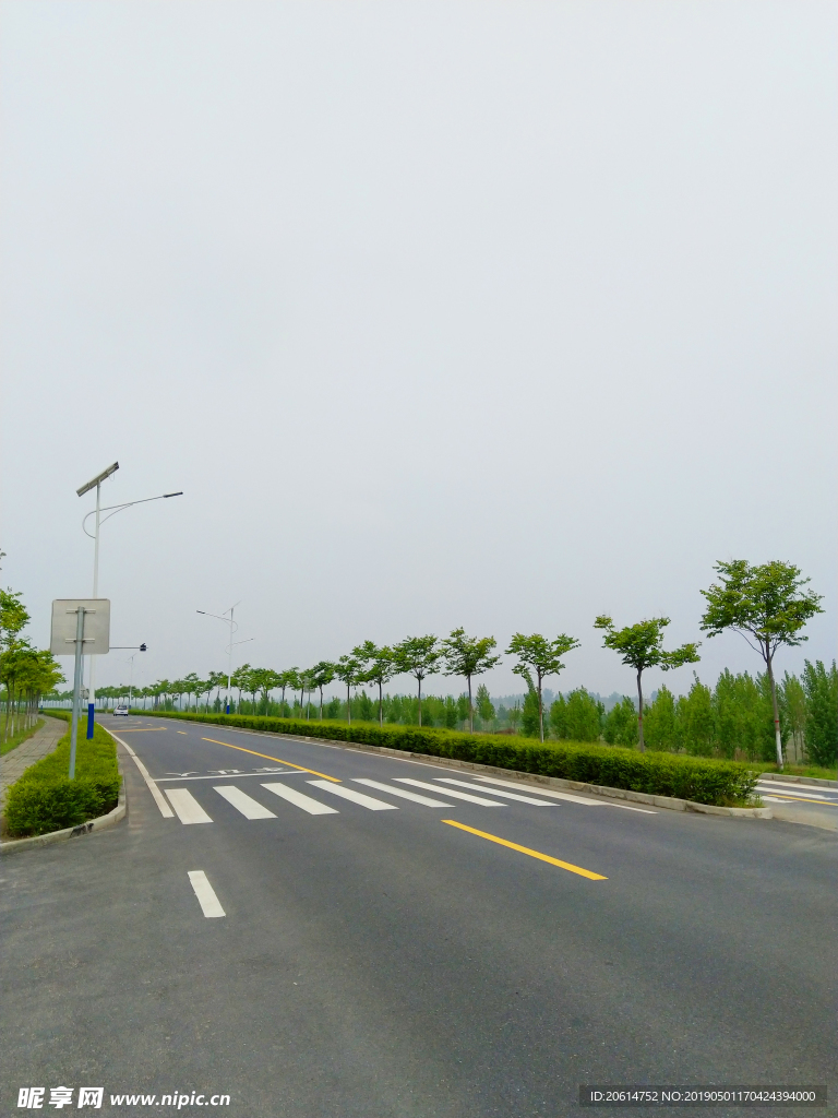 绿树成荫的道路美景