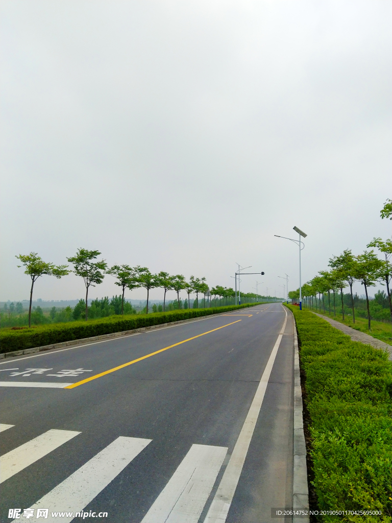 绿树成荫的道路美景