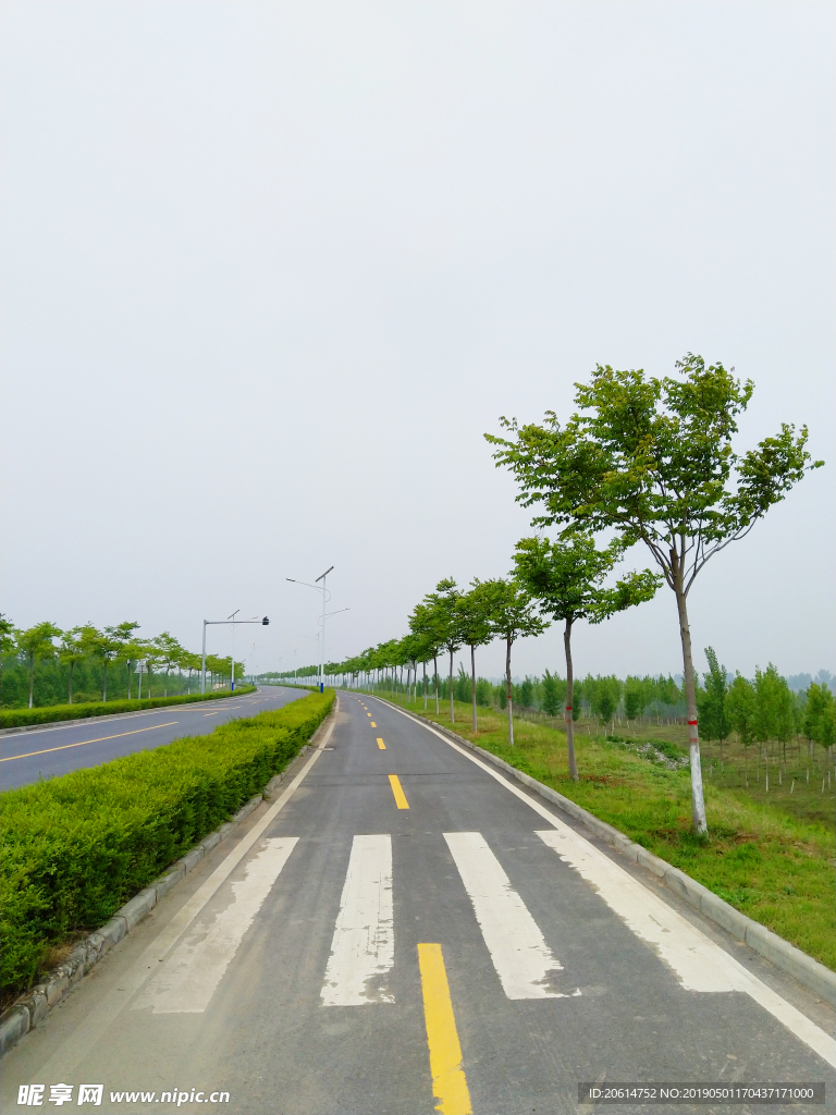 乡村道路美景