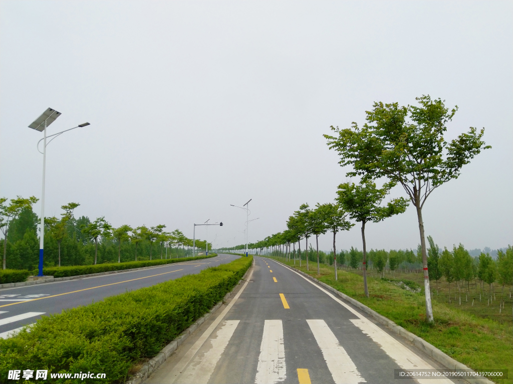 乡村道路美景