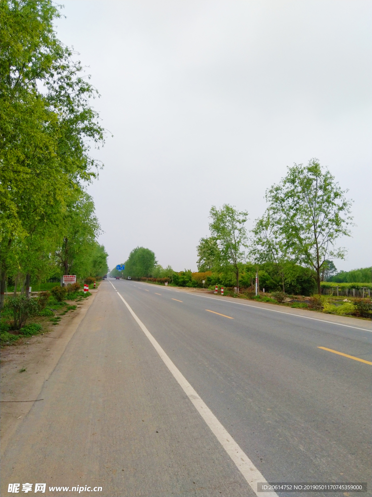 美丽的乡村道路风景