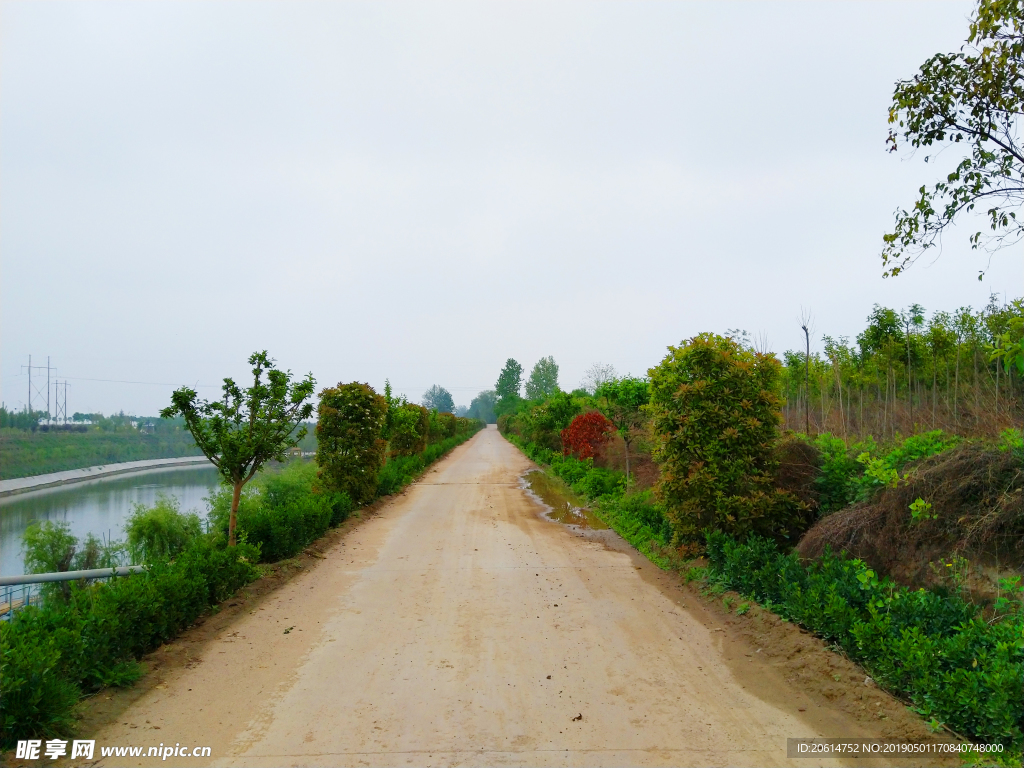 乡村道路风光