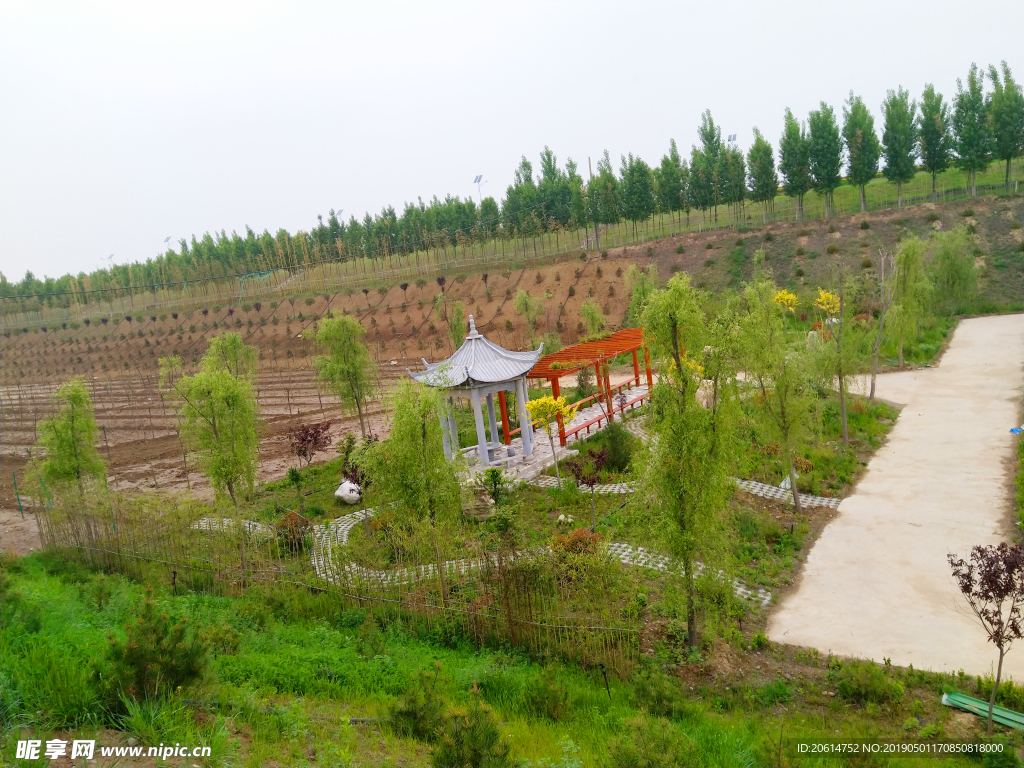 蓝天下的乡村风景