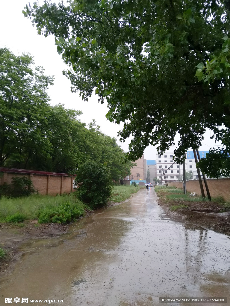 下雨天的街道