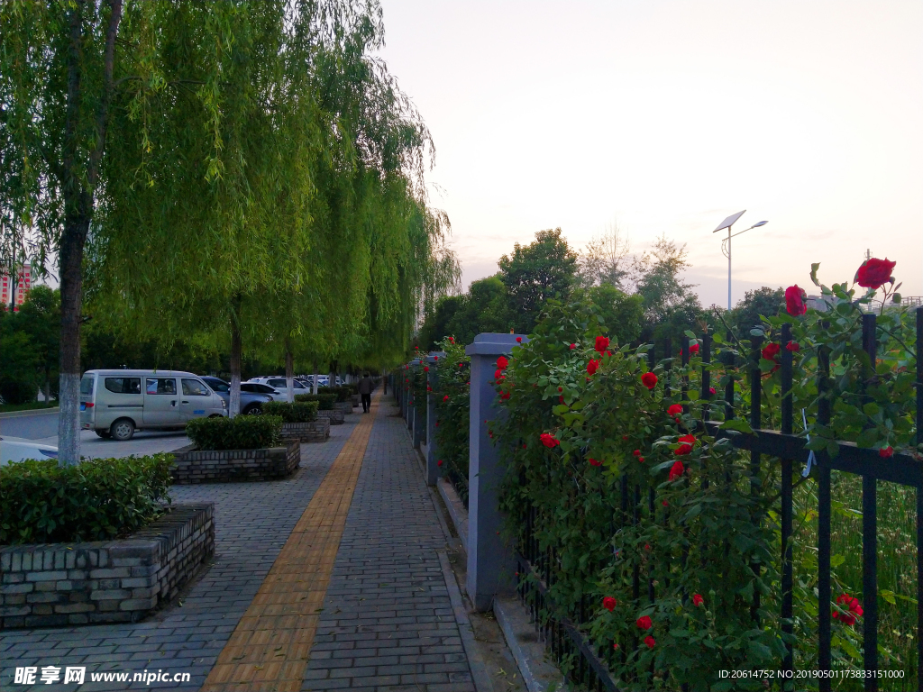 夕阳下的城市道路风景