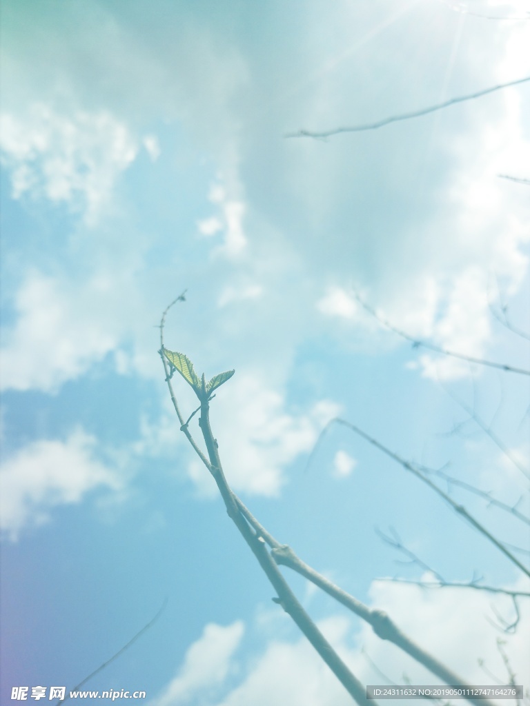 自然风景