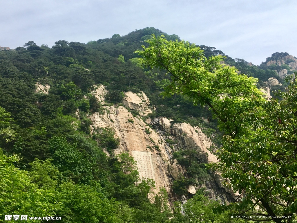 泰山风景