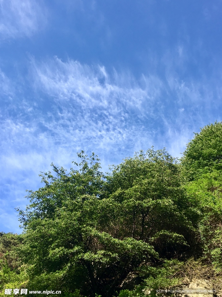蓝天绿树