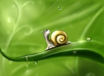 蜗牛