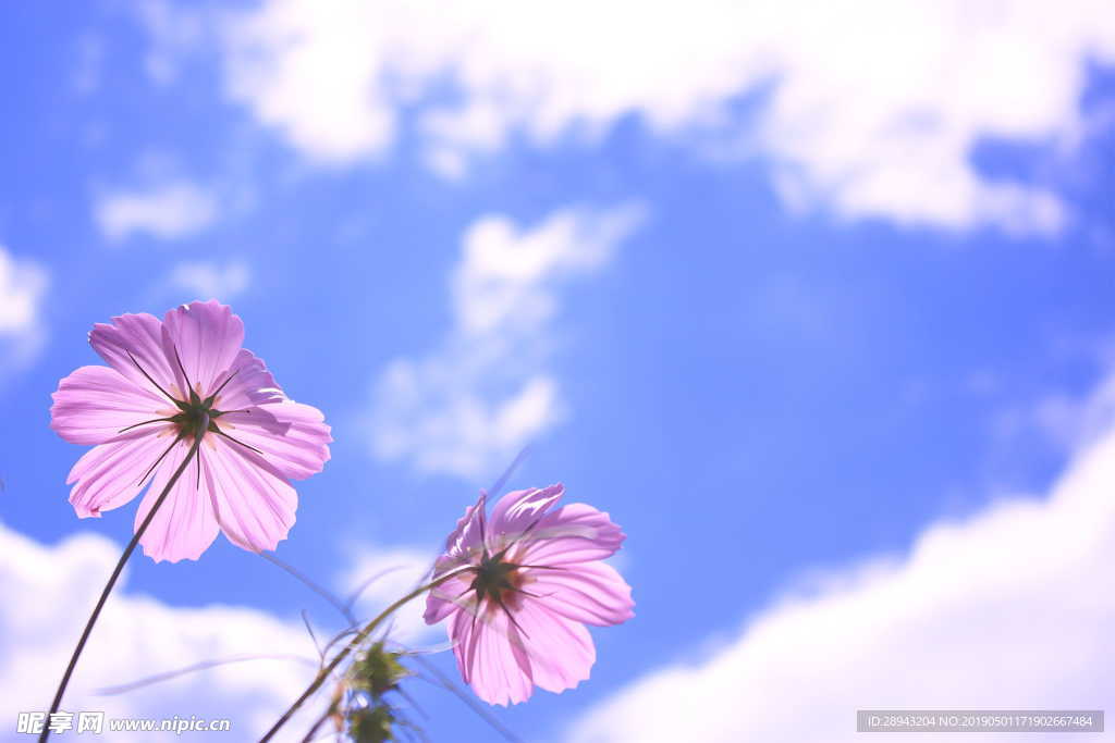 天空