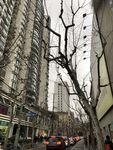 街区