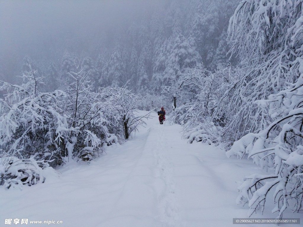 雪景