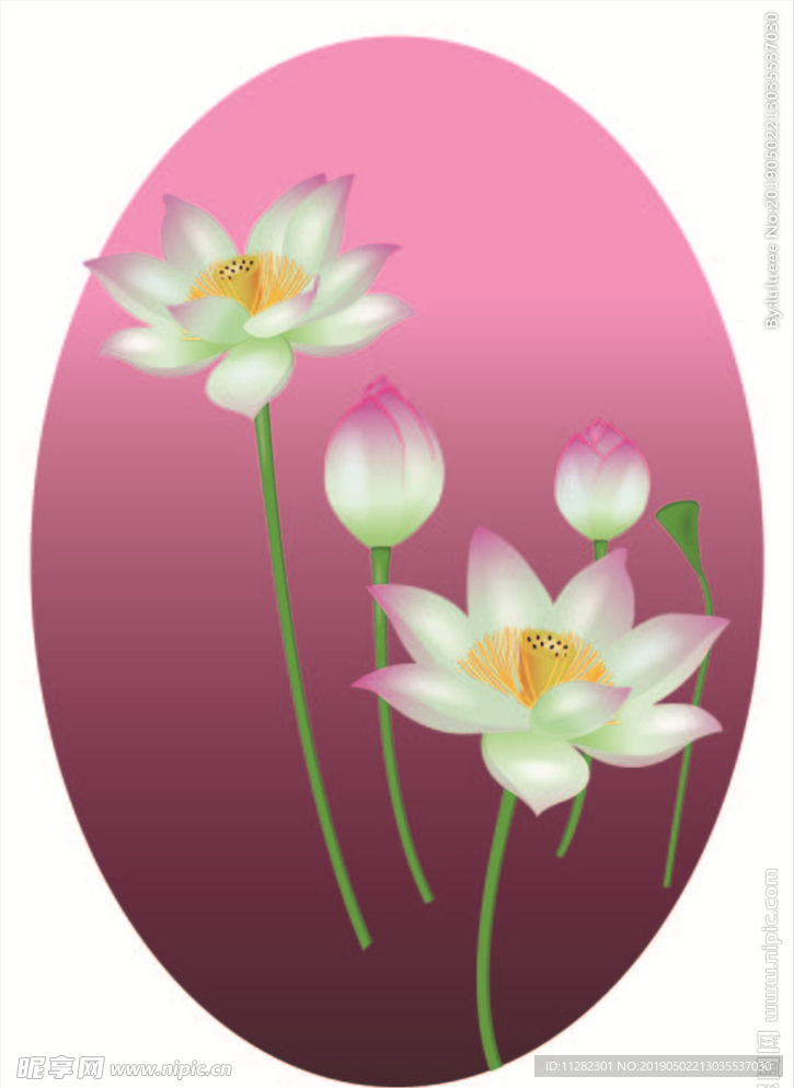 荷花