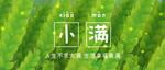小满