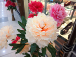 塑料牡丹花摄影图片