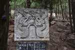 泰山