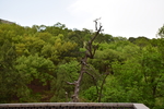 泰山