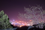 夜景