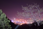 夜景