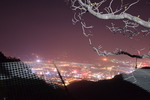 夜景