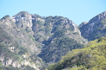 泰山