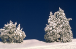 雪山