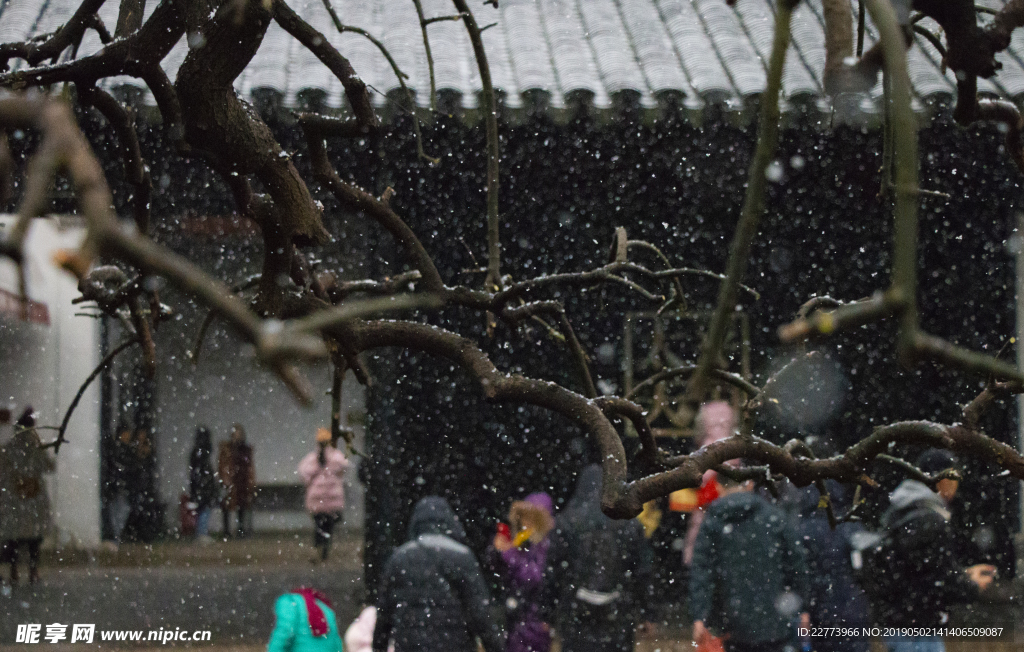 雪中游客 苏州博物馆