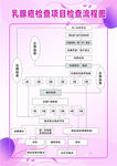 乳腺癌检查流程图