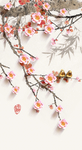 中式玄关梅花背景