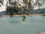 新丰江水库