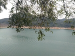 新丰江水库风景