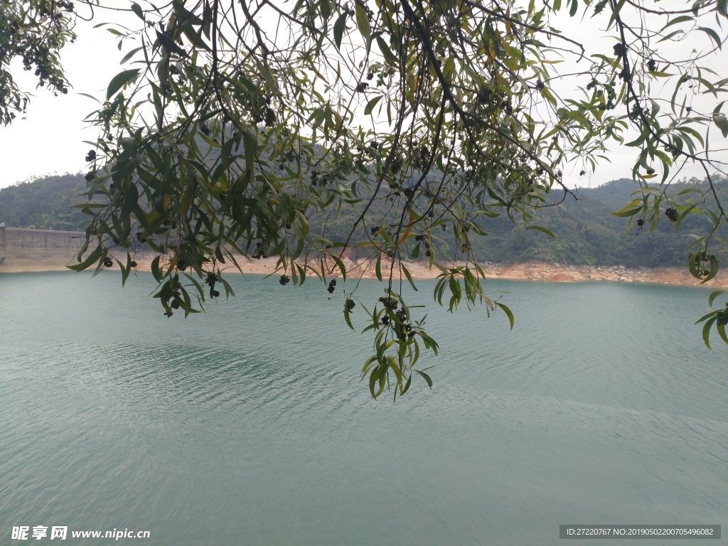 新丰江水库风景