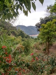 笔架山远眺万绿湖