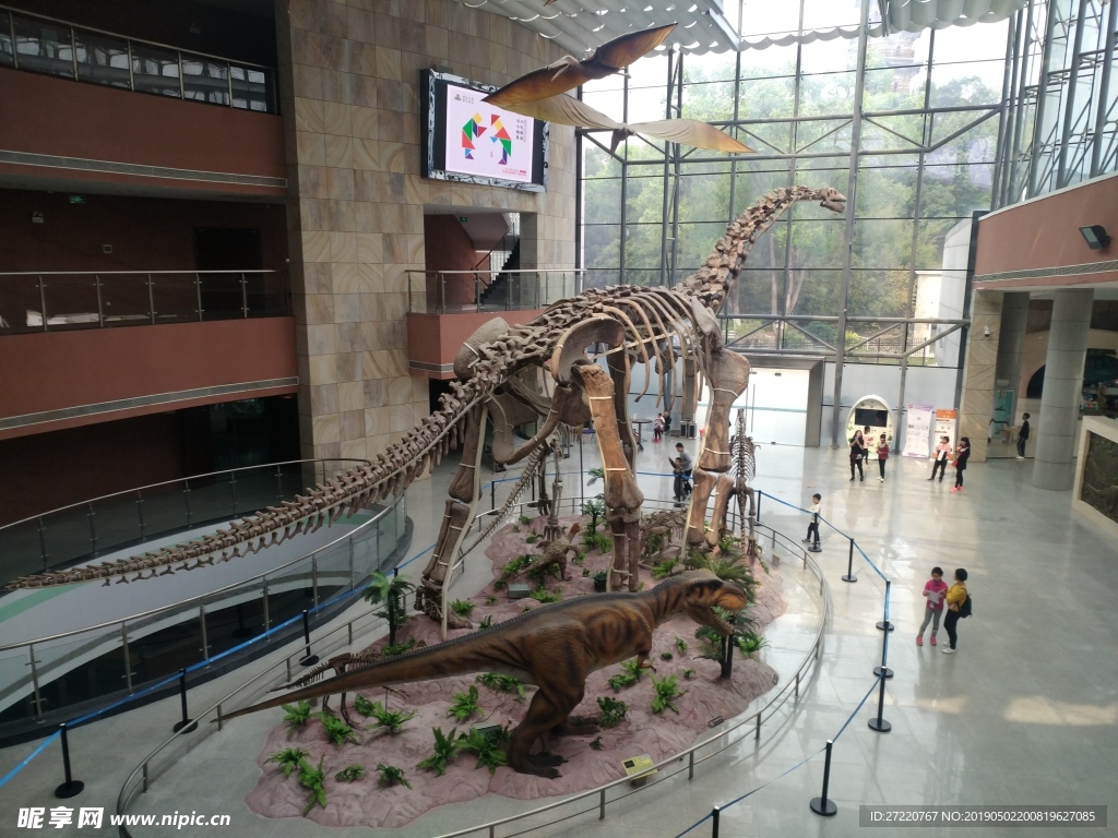 恐龙博物馆恐龙模型
