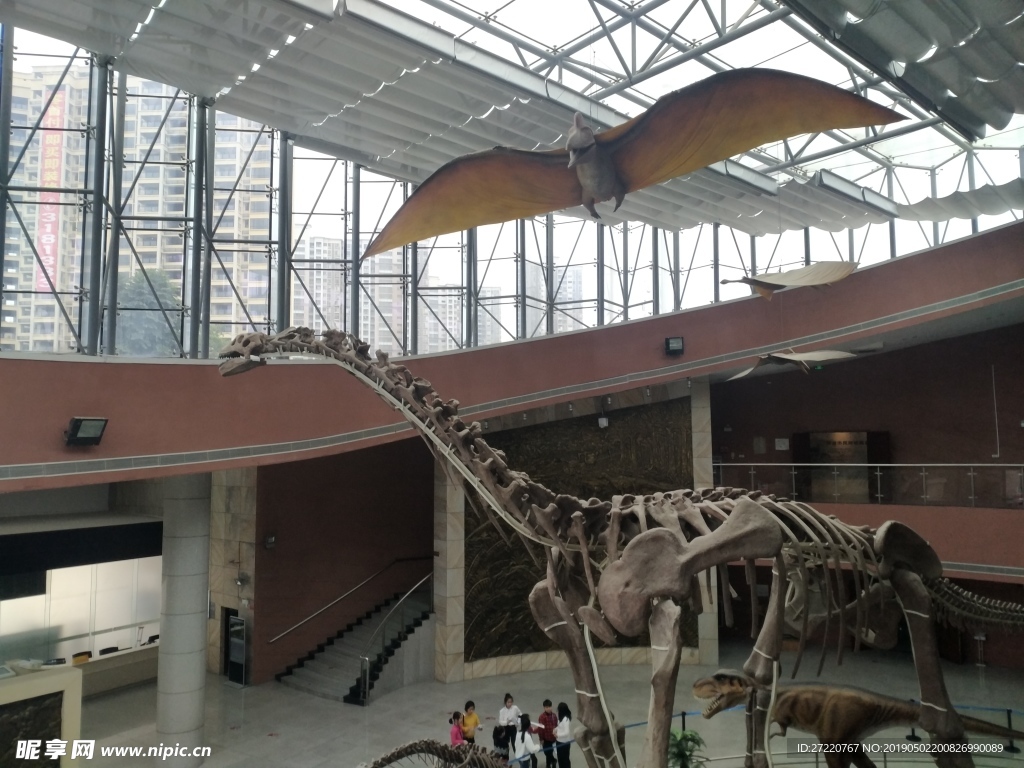 河源恐龙博物馆 恐龙骨架模型