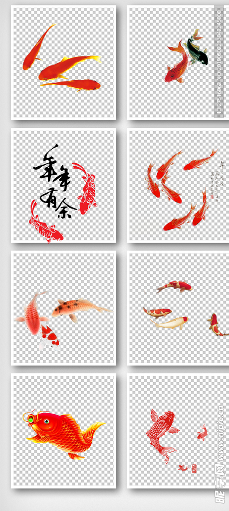 红鲤鱼